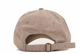 College Dropout Dad Hat